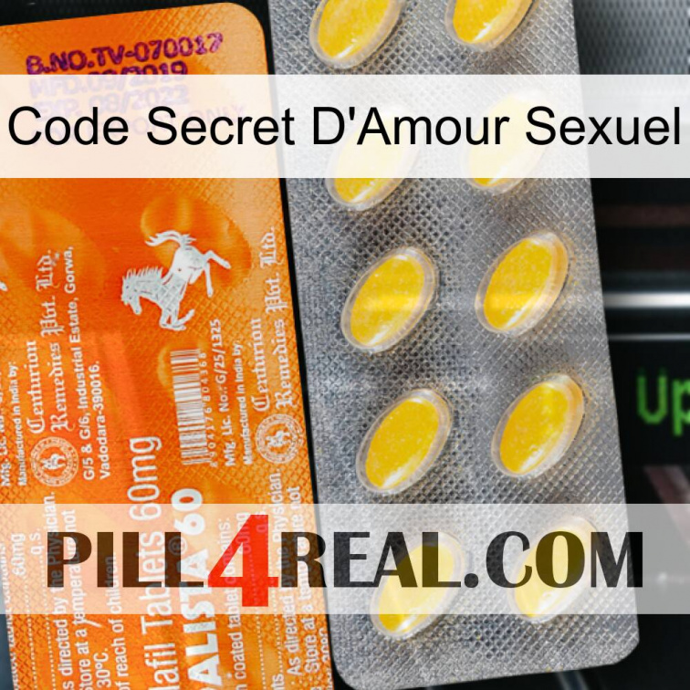 Sex Love Secret Code new05